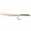Sand Eel