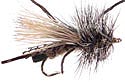 Rogue Golden Stonefly