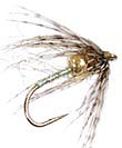 Soft Hackle - Olive