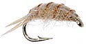 Sow Bug - Tan