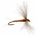 Spinner - Rusty