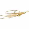 EP Spawning Shrimp