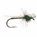 Hatchling Midge - Black