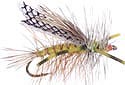 Cricket Hopper