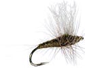 Terranasty Stonefly: half dozen flies