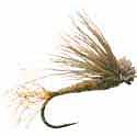 Brachycentrus Adult Caddis