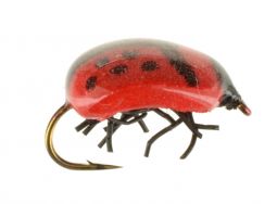 DF Lady Bug