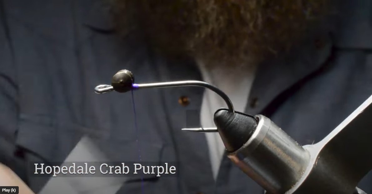 Hopedale Crab - Purple
