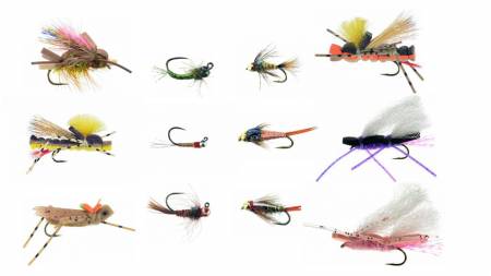 Hopper Collection: 12 Assorted Grasshopper Patterns + Fly Box, Fly Fishing  Flies For Less