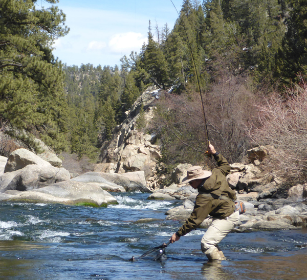 David Chao Catching 11 Mile Canyon Rainbow Trout | DiscountFlies Online Fly Shop