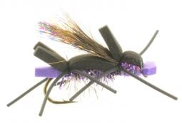 Purple Amy's Ant