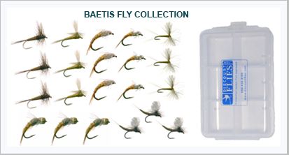Baetis Mayfly Assortment for Trout