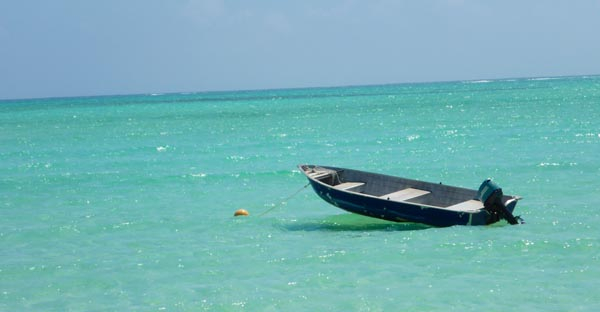 Abacos Island, Cassurina Point, Bahamas