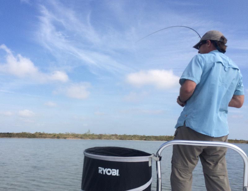 Bonefish Hookup, The Marls Bonefish Hookup, The Marls