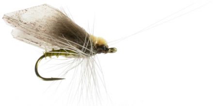 Caddis Adult - Olive