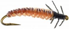 Caddis Larva - Brown