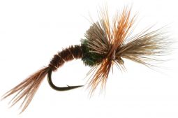 Challenged Mayfly Emerger - Pheasant Tail