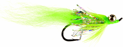 Chartreuse Coho Comet