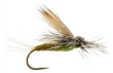 EC Caddis - Olive