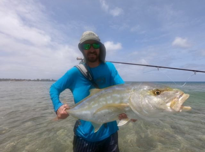 Jamie Story's Yellow Jack