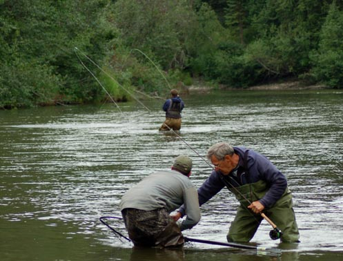Double Silver Salmon Hook Up, Little Susitna River Double Silver Salmon Hook Up, Little Susitna River
