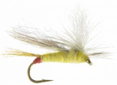 Para Sally Adult Stonefly