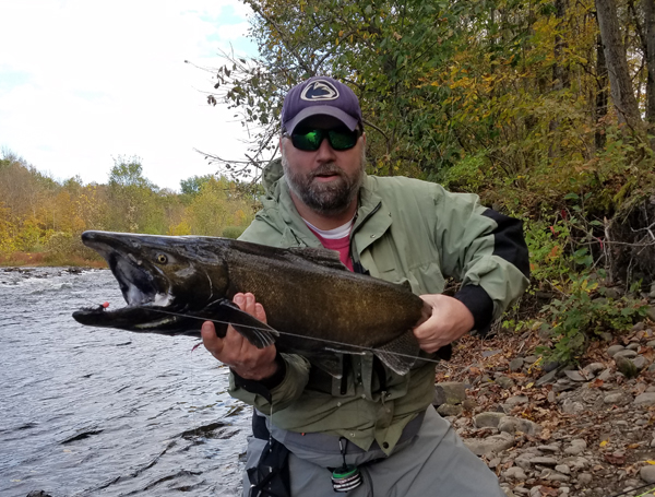 Rich Zoeltsch, of New York, landed a number of nice King Salmon while fishing a Purple Egg Sucking Leech. This was one of many.