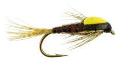 Split Back PMD Emerger