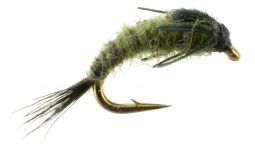 Trico Mayfly Emerger