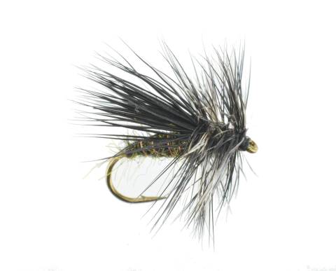 Animas River Peacock Caddis