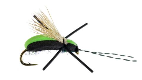 BEVOs Longhorn Beetle