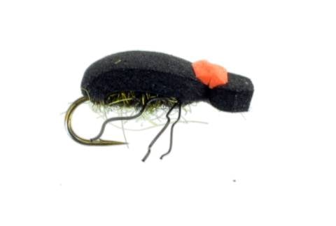Beetle - Foam