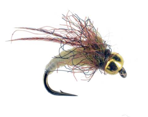 Caddis Pupa - Cream