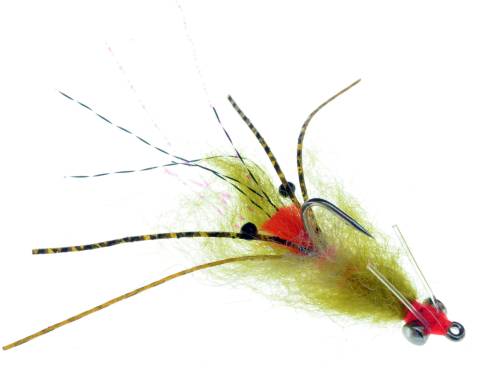 DF Spawning Shrimp - Olive