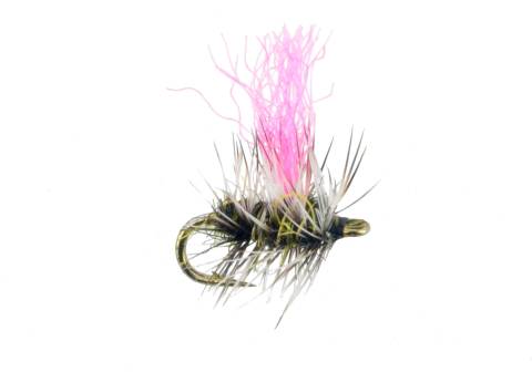 Hi-Viz Griffiths Gnat