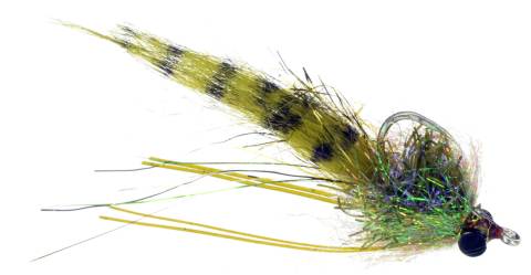 Hopedale Crab - Olive