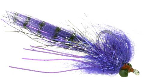 Hopedale Crab - Purple