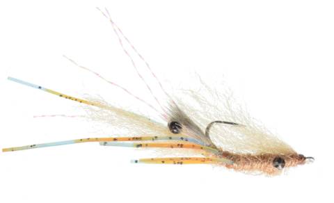 Scratchy Mantis Shrimp - Lead Eye