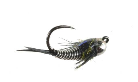 Jiggy Copper J - Zebra TB