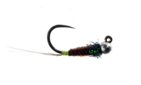 Jiggy France Fly - Brown