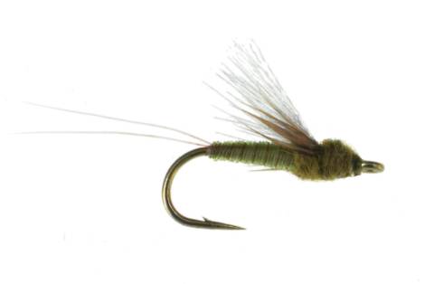 Juju Emerger - Olive