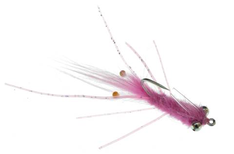 Mantis Shrimp - Pink