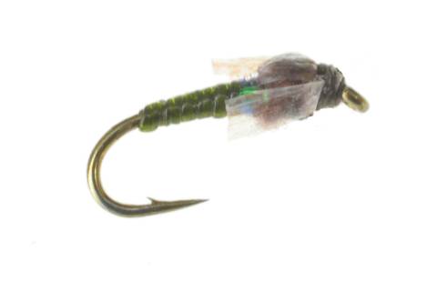 Medallion Midge - Olive