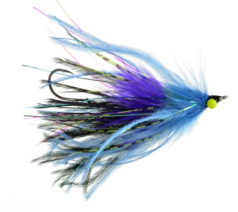 Mini Intruder - Blue & Purple