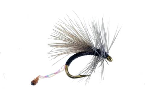 Morgan's Midge
