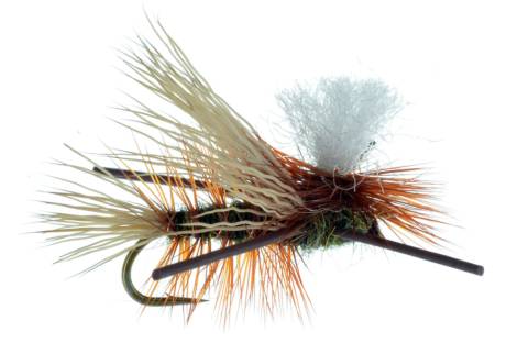 Parachute Madam X - Peacock