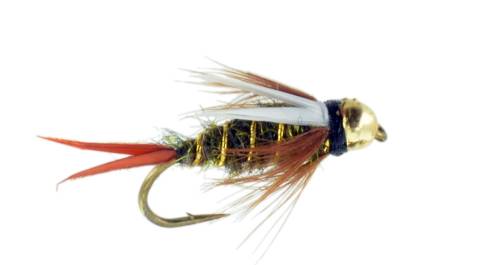 Prince Nymph - Tungsten Bead