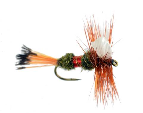 Royal Coachman
