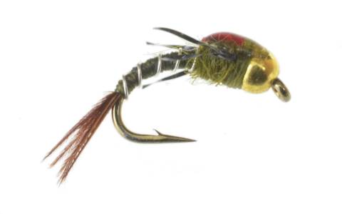 SOS Nymph - Olive