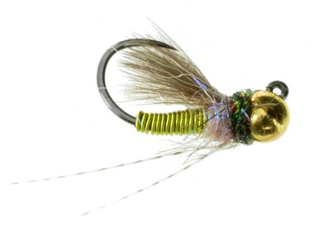 Sweetness Caddis Lime